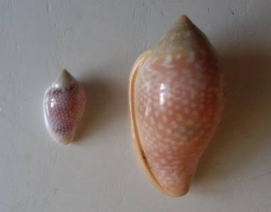 RIMG0113