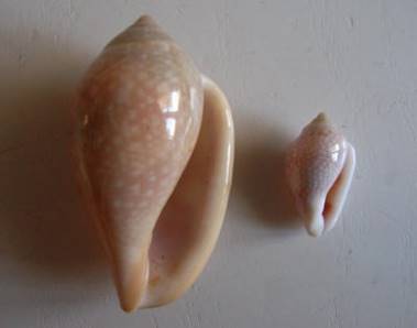 RIMG0115